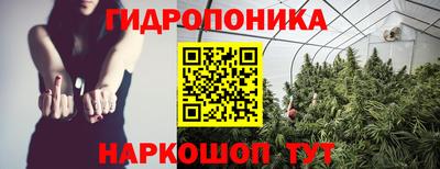 ПСИЛОЦИБИНОВЫЕ ГРИБЫ Аргун