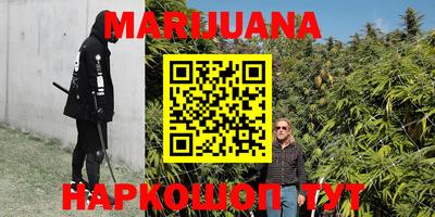 индика Бузулук