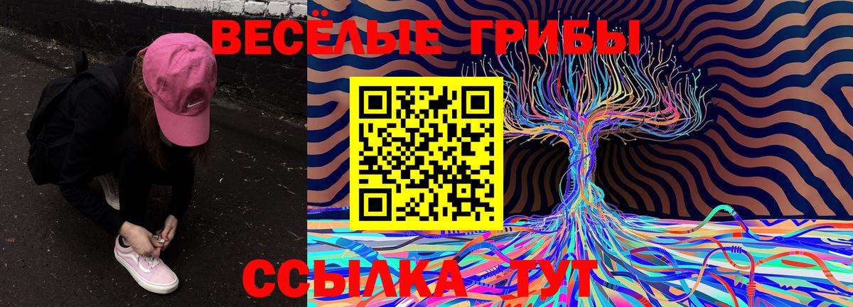 Галлюциногенные грибы Psilocybine cubensis Балаково